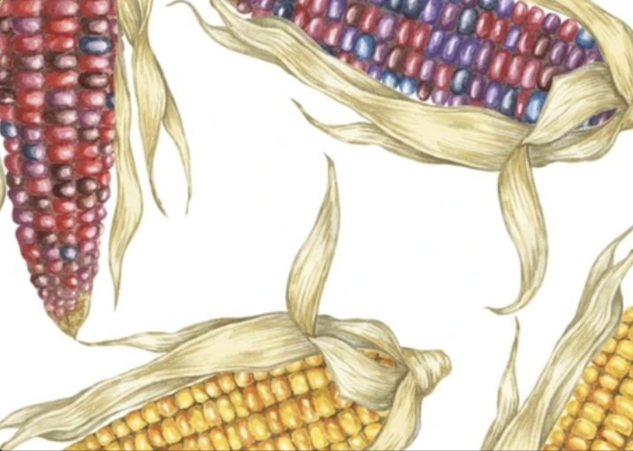 Screenshot 2025-10-20 at 3.55.41 PM